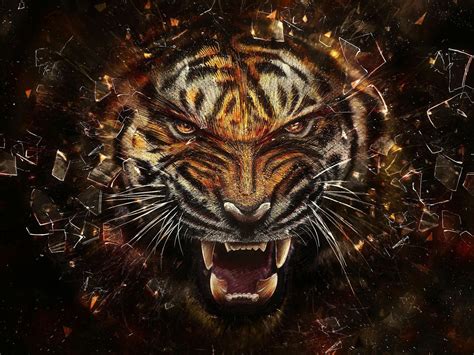 老虎背景|[1900+] Tiger Wallpapers